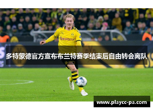 多特蒙德官方宣布布兰特赛季结束后自由转会离队