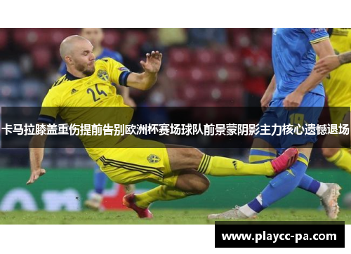 卡马拉膝盖重伤提前告别欧洲杯赛场球队前景蒙阴影主力核心遗憾退场